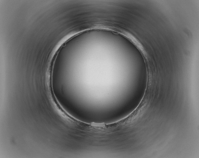 X0000115740955200911121534