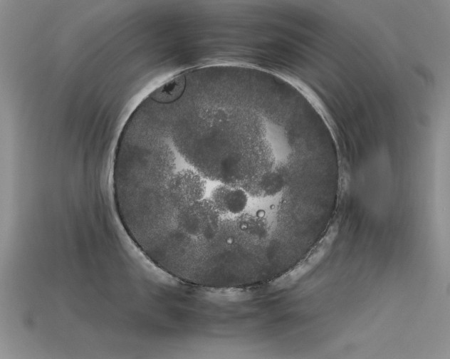 X0000115740957200911121534