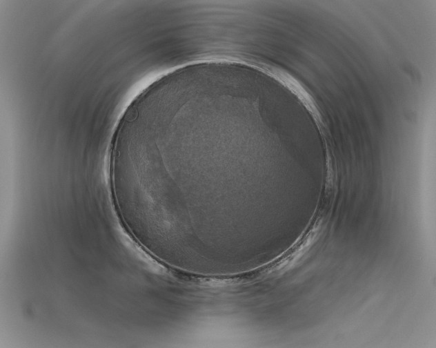 X0000115740958200911121534