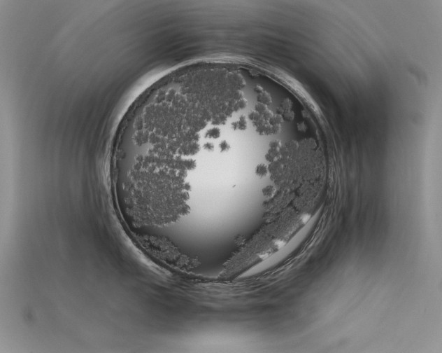 X0000115740959200911121534