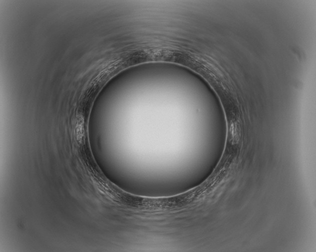 X0000115740963200911121534