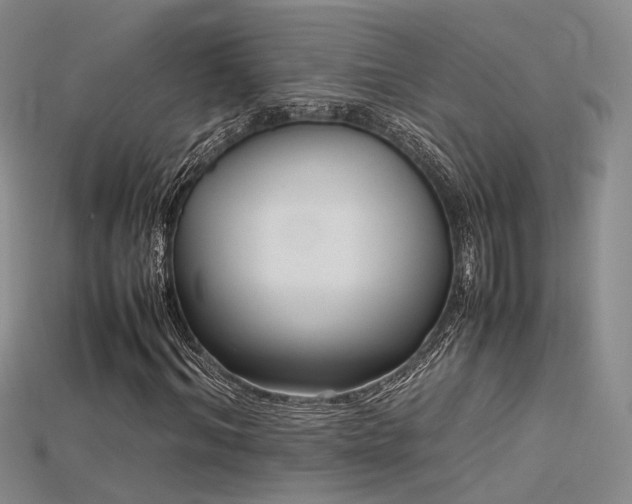 X0000115740964200911121534