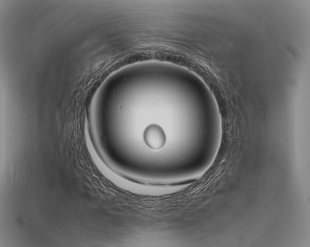 X0000115740965200911121534