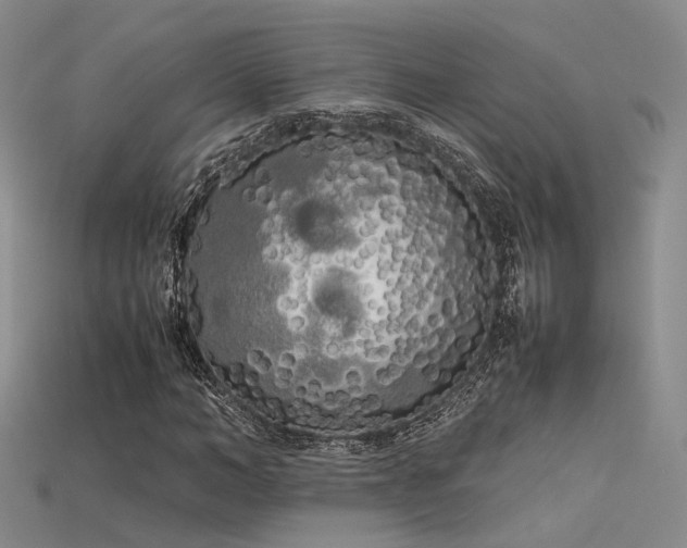 X0000115740966200911121534
