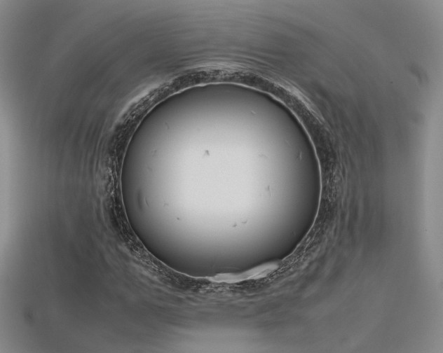 X0000115740967200911121534