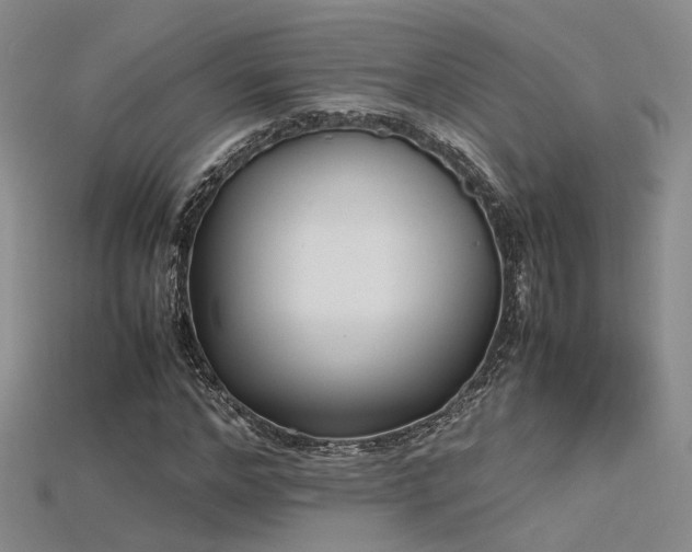 X0000115740968200911121534