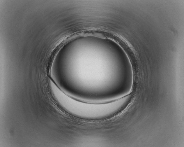 X0000115740969200911121534