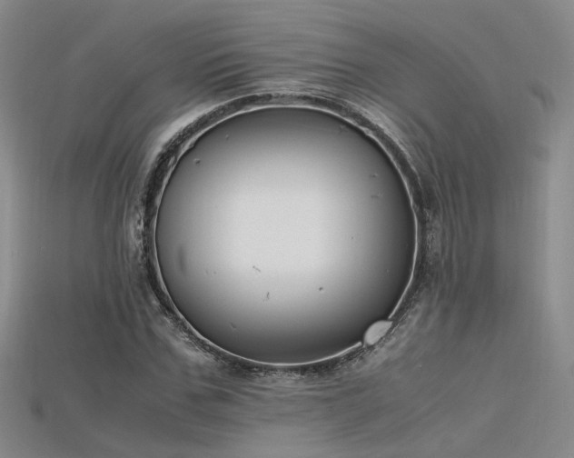 X0000115740971200911121534