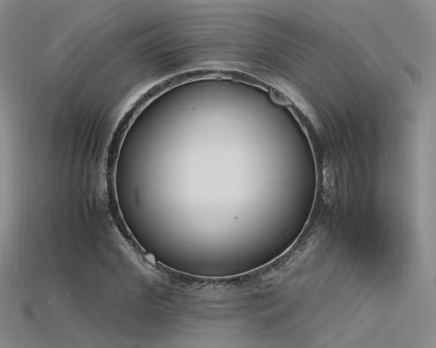X0000115740972200911121534