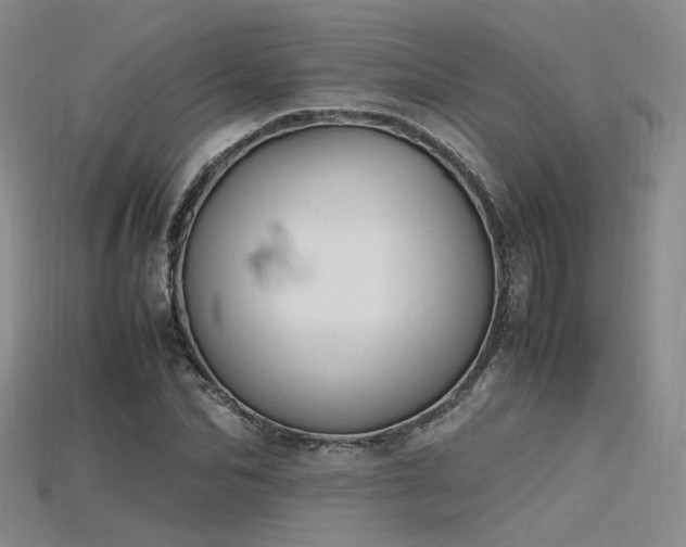 X0000115740974200911121534