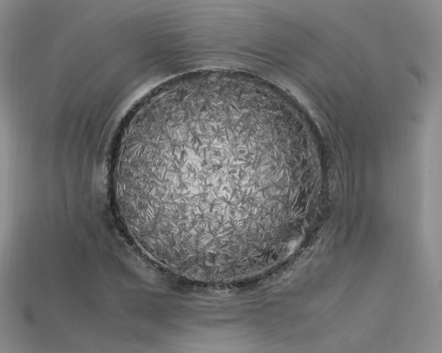 X0000115740975200911121534