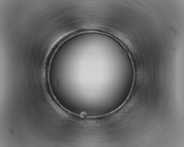 X0000115740976200911121534