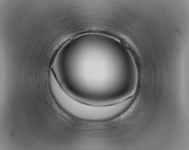 X0000115740977200911121534