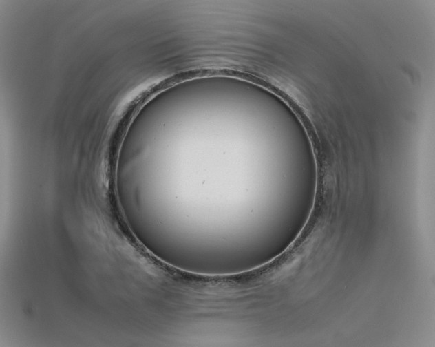 X0000115740979200911121534