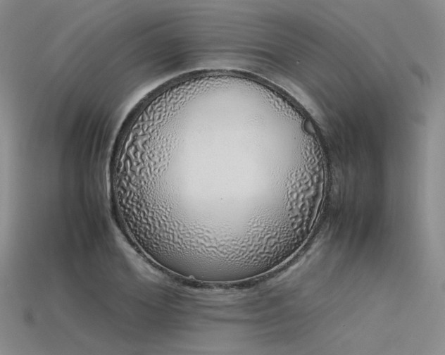 X0000115740980200911121534