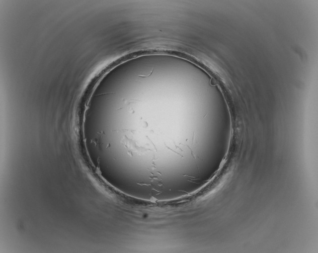 X0000115740981200911121534