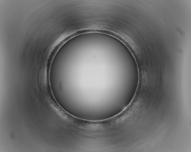 X0000115740982200911121534