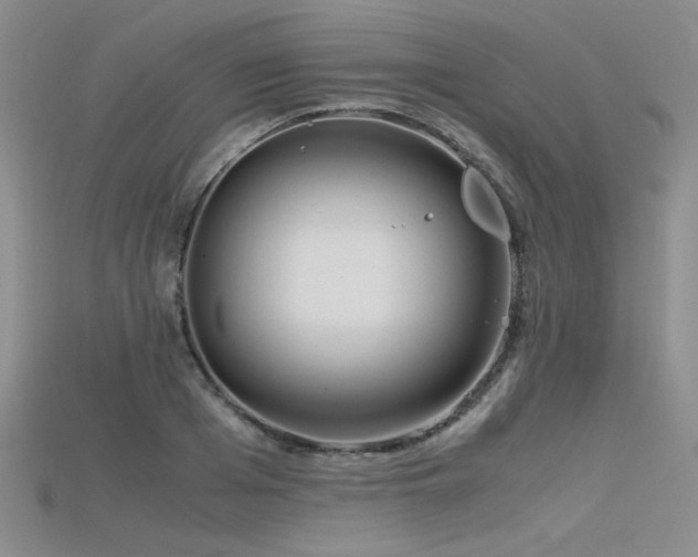 X0000115740985200911121534