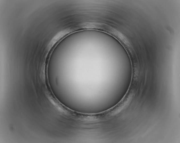 X0000115740986200911121534