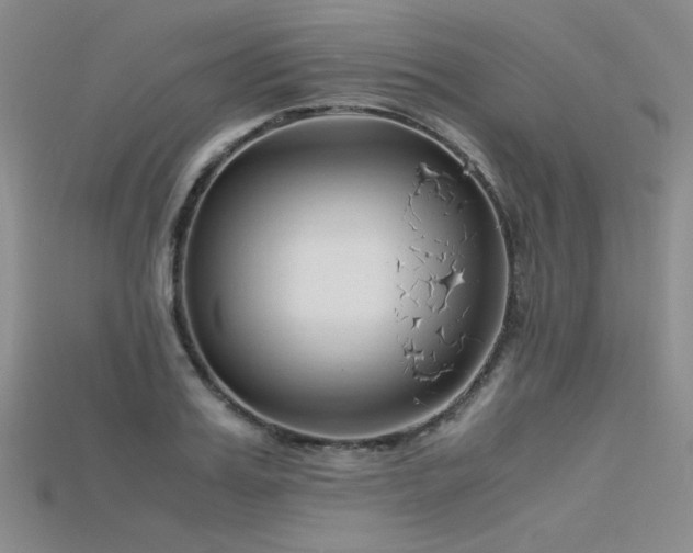 X0000115740987200911121534