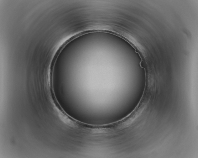 X0000115740988200911121534