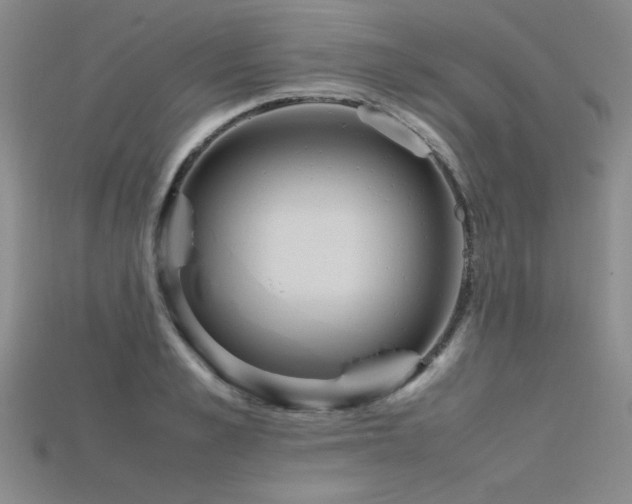 X0000115740989200911121534