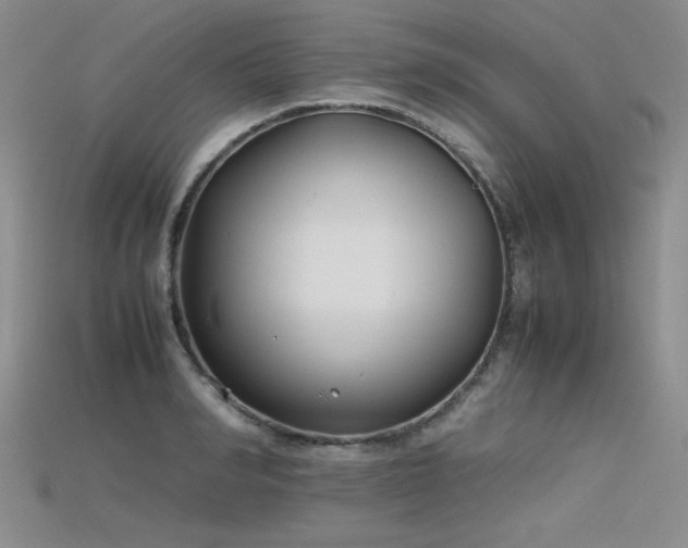 X0000115740990200911121534