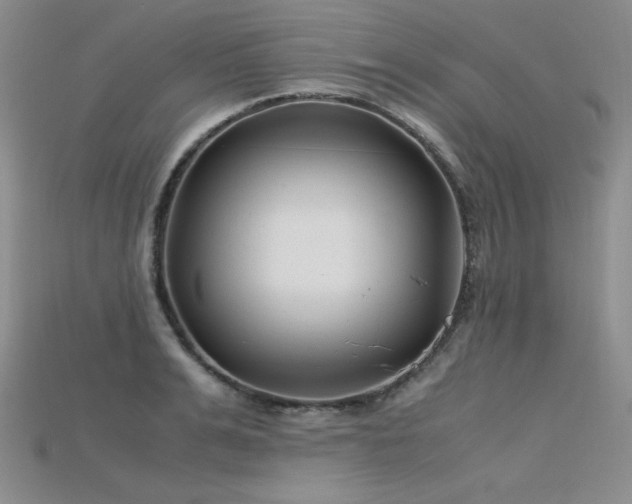X0000115740991200911121534
