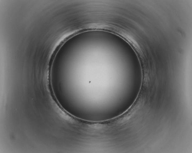 X0000115740992200911121534