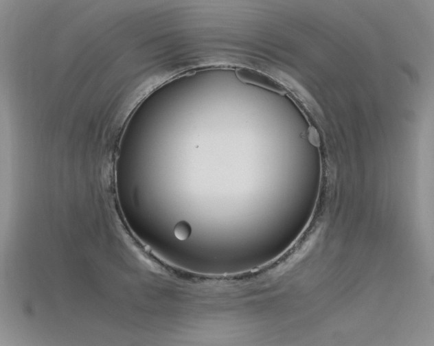 X0000115740993200911121533