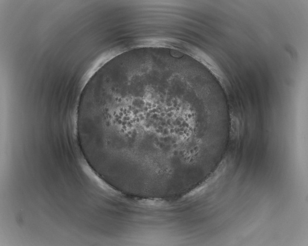 X0000115740994200911121533