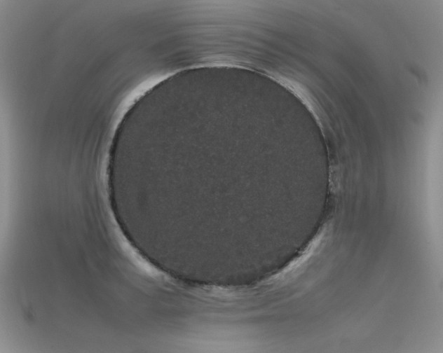 X0000115740995200911121533