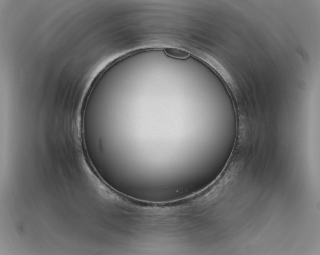 X0000115740996200911121533
