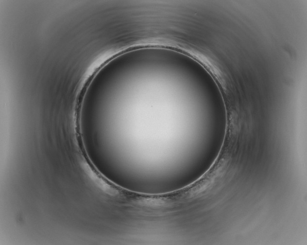 X0000115740998200911121533