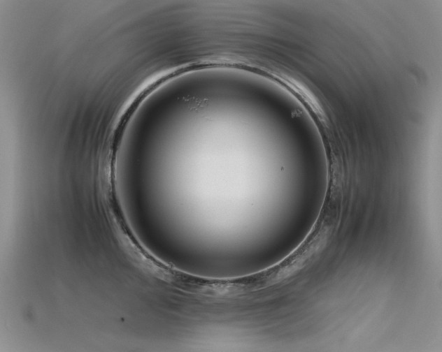 X0000115741000200911121533