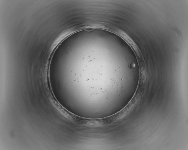 X0000115741002200911121533