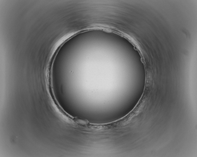 X0000115741003200911121533