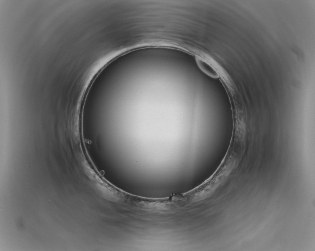 X0000115741004200911121533