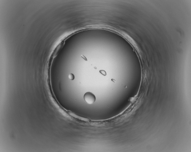 X0000115741005200911121533