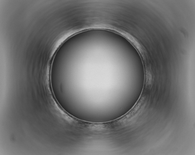 X0000115741006200911121533