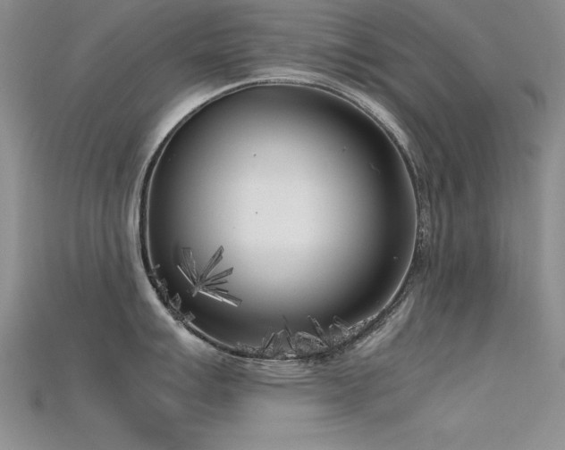 X0000115741007200911121533