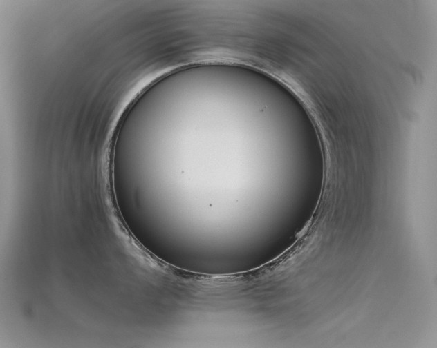 X0000115741008200911121533