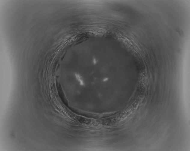 X0000115741009200911121533