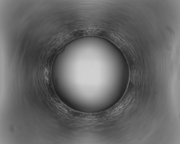 X0000115741010200911121533