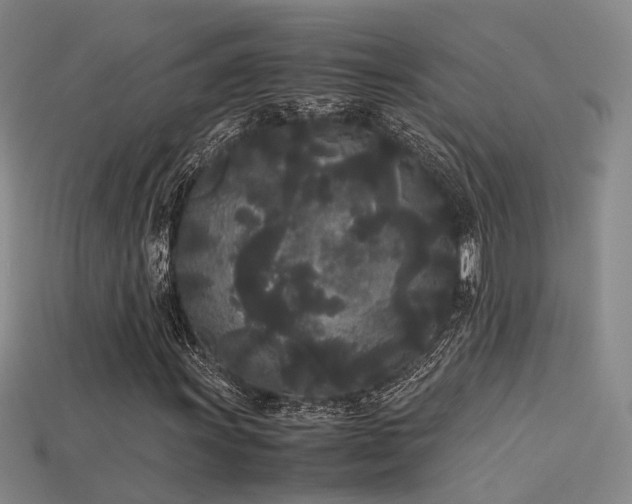 X0000115741011200911121533