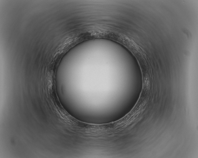 X0000115741012200911121533