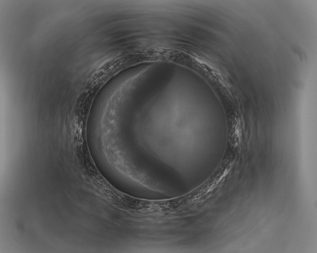 X0000115741013200911121533
