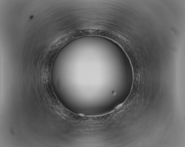 X0000115741014200911121533