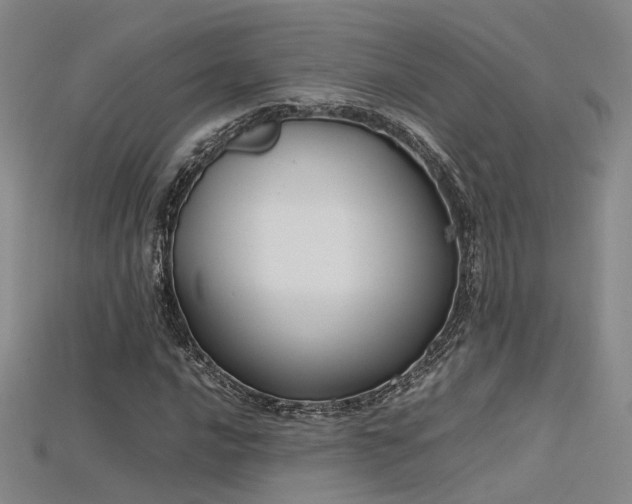 X0000115741016200911121533