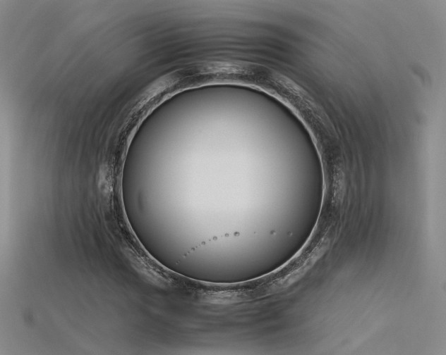 X0000115741017200911121533